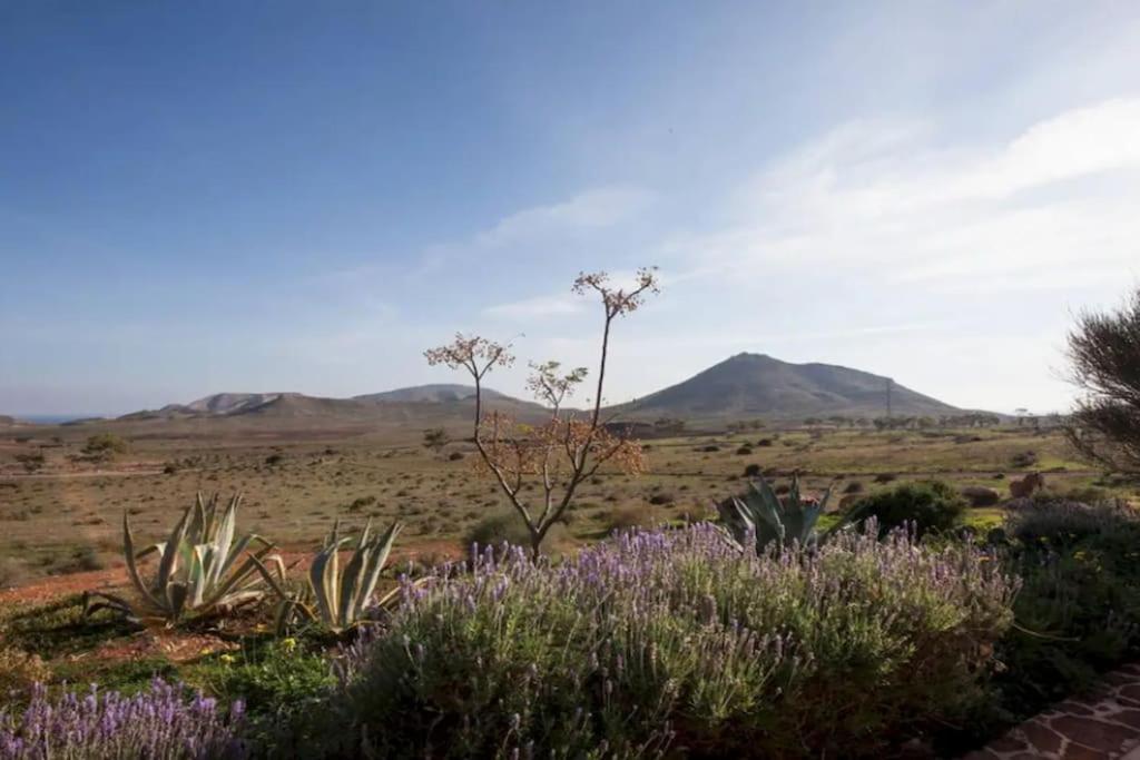 El Risco Colorado, Cabo De Gata Villa Rodalquilar Bagian luar foto
